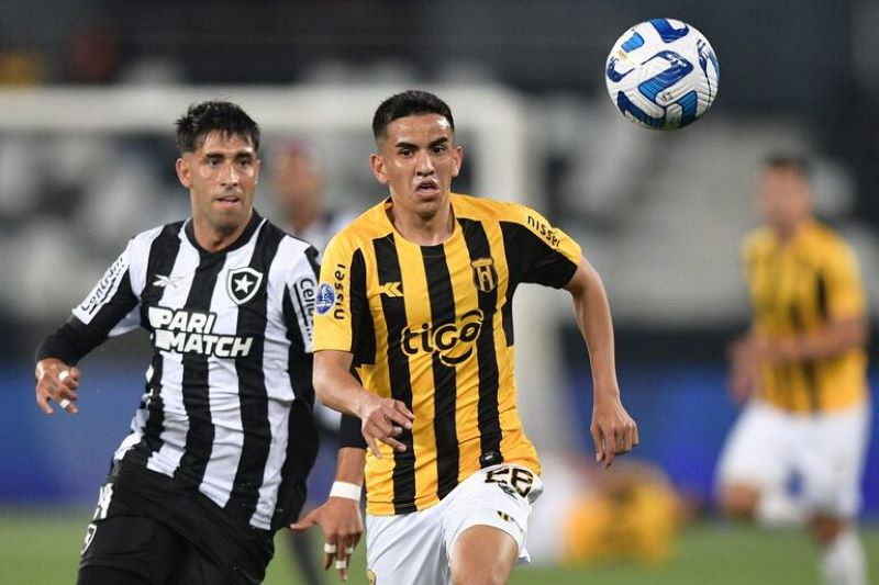 Nhận định soi kèo Botafogo vs Guarani lúc 06h00 ngày 10/10/2024